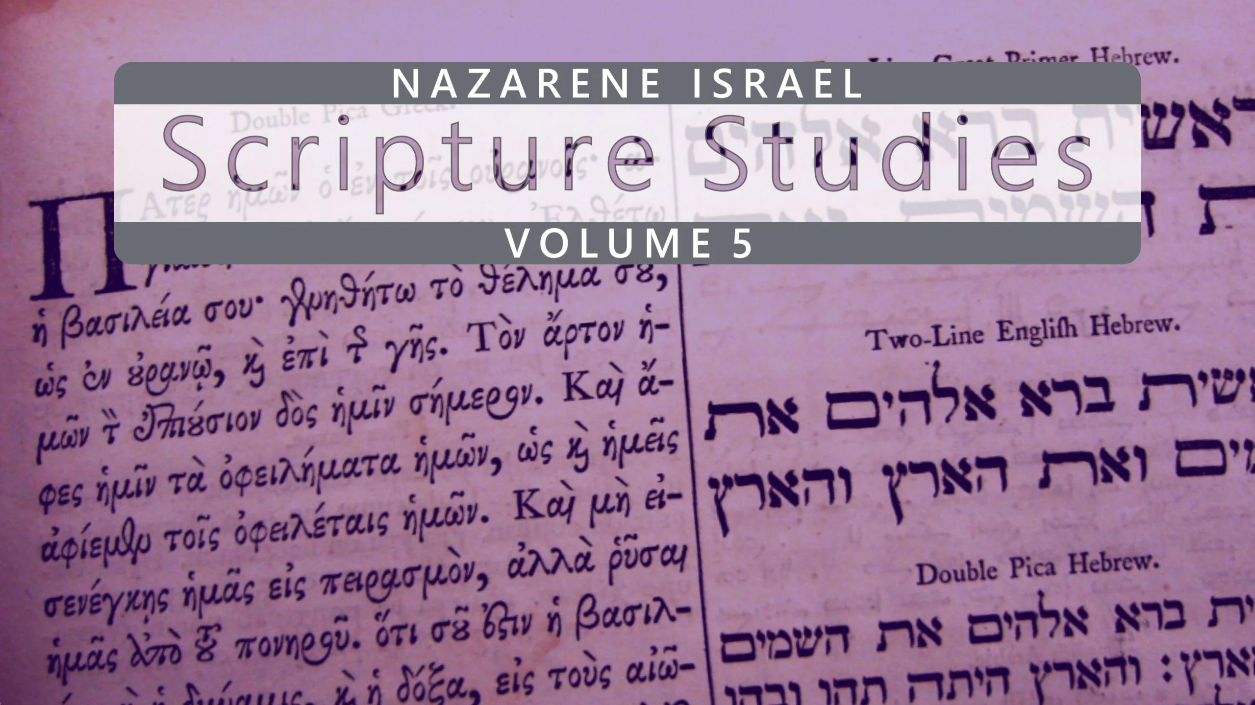 scriptural-studies-volume-5-en
